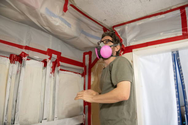 Best Post-Remediation Verification Testing  in Palermo, CA